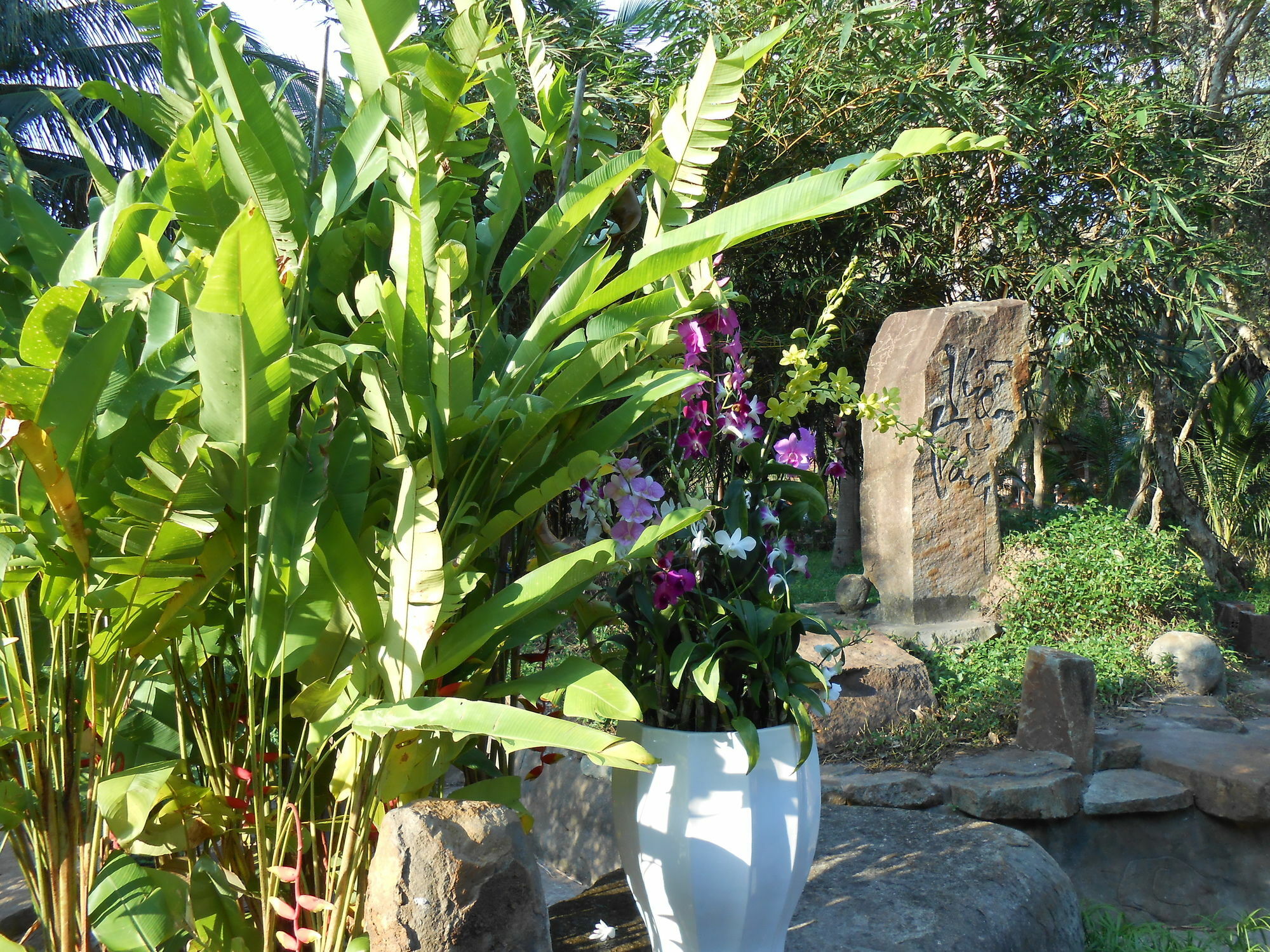 Hotel Minera Hot Springs Binh Chau Esterno foto